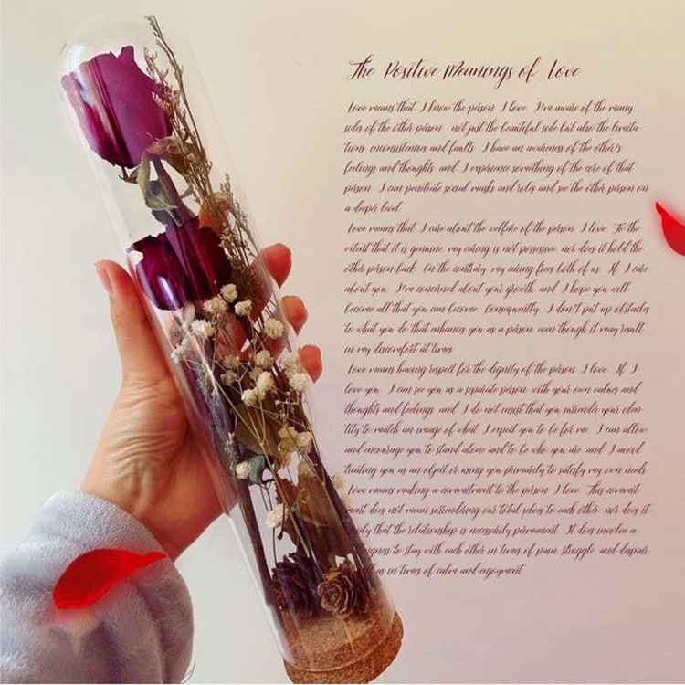 永生花标本微景观玻璃瓶干花瓶diy装饰玻璃瓶子摆件软木塞