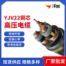 廠家批發高壓銅芯電力電纜 YJV22國標 阻燃聚氯乙烯護套現貨供應