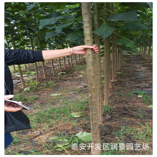 ��������鱘�ăr�� 3����5��������鱘�������l
