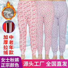 花秋裤 花秋裤品牌 图片 价格 花秋裤批发 阿里巴巴