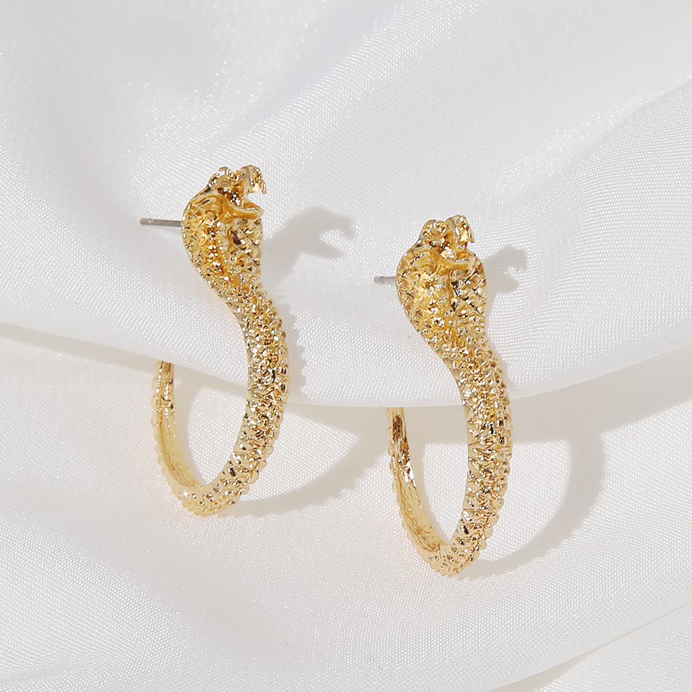 Retro Snake-shaped Long Earrings Wholesale Nihaojewelry display picture 10