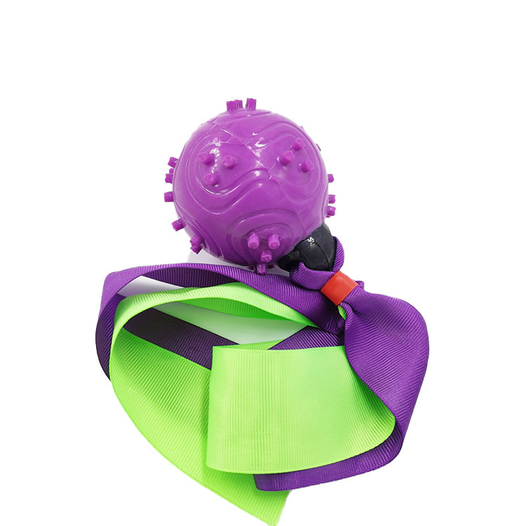 Pet Toy molar limpieza dental TPR Ribbon Ball perro de juguete de sonido perro de entrenamiento de perros bola resistente a los mordiscos precio de fábrica ventas directas