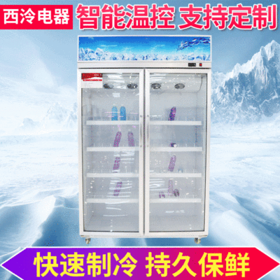 中航天商用冷柜便利店立式展示冰柜超市陈列柜啤酒饮料展示柜|ms