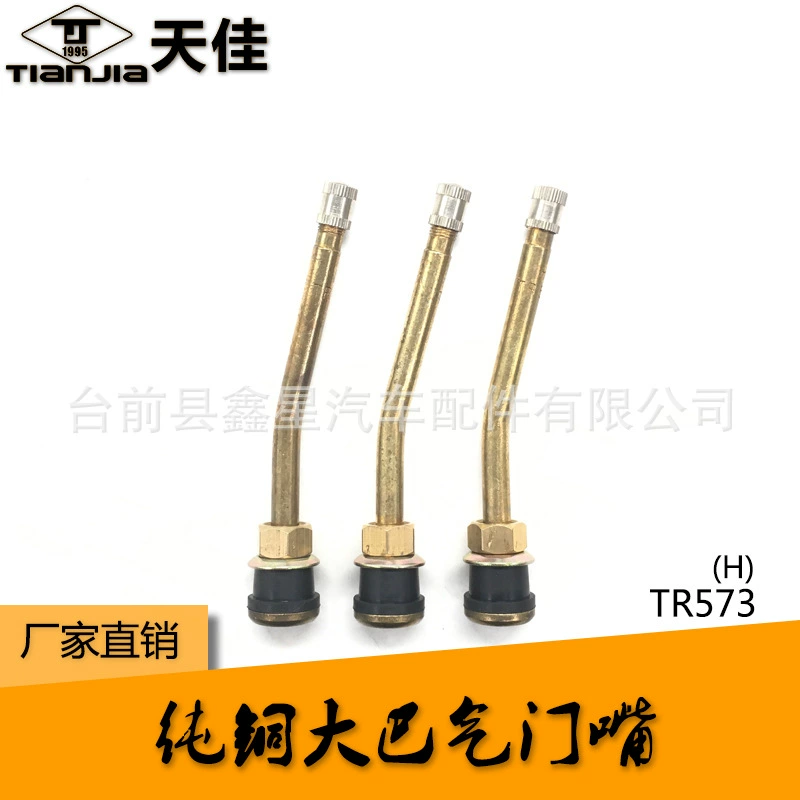 Прямые продажи с фабрики TR573 автобус Средний автобус автомобиль вакуумная шина Ступица колеса специальная Вакуумная насадка высокое качество чистой меди КЛАПАННОЕ сопло