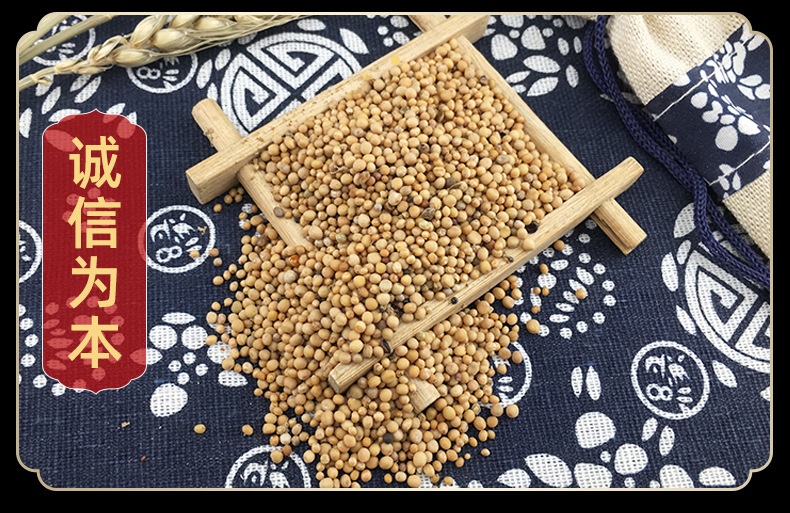 White Mustard Seed Bai Jie Zi 500g Dried Sinapis Alba Seeds Bulk Herbal Ingredient in use