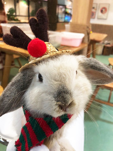 Pet Rabbit Dutch Pig Totoro Squirrels Hedgehog Pet Hat мужская рождественская шляпа Отдых смены
