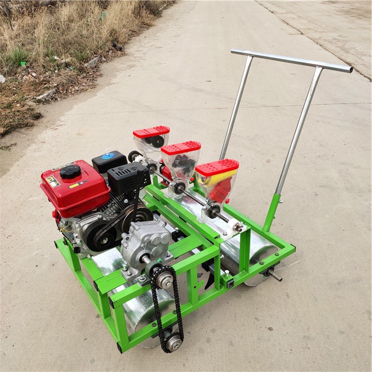 香芹小油菜点播机 菠菜胡萝卜精播机 手推式精密度蔬菜播种机