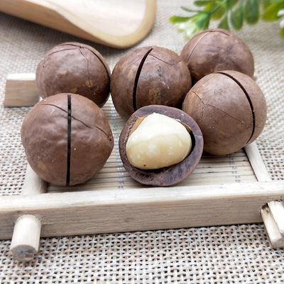 夏威夷果 500g辦公室休閑零食 堅果 送開口器 微商食品壹件代發