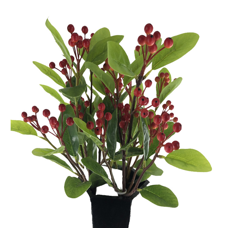 冬青果四叉枝15叶8串48果62CM（1.jpg