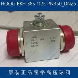 霍格球阀高压球阀HOOG BALL VALVES BKH 38S 1125 DN25