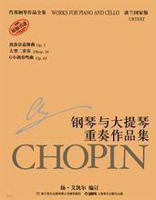 正版 肖邦钢琴作品全集 第三辑,扬艾凯尔上海音乐出版社 假一赔十