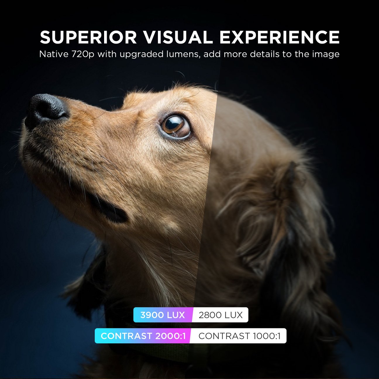 GC555 Miracast 1296x1296 5.jp