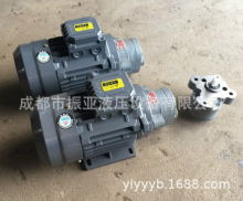 CBW内插入式齿轮油泵电机组CB-B4 CB-B6/B10/B2.5JZ 0.37KW0.55KW