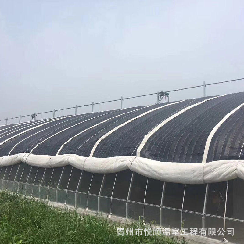 日光温室 植物温室 专业安装设计玻璃温室