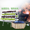 户外阳台蔬菜种植无土栽培设备鱼菜共生水培种植架鱼美人|ms