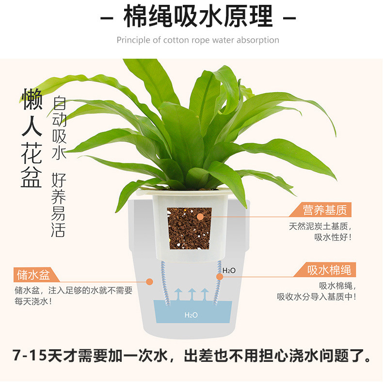 ����ҳ2_06