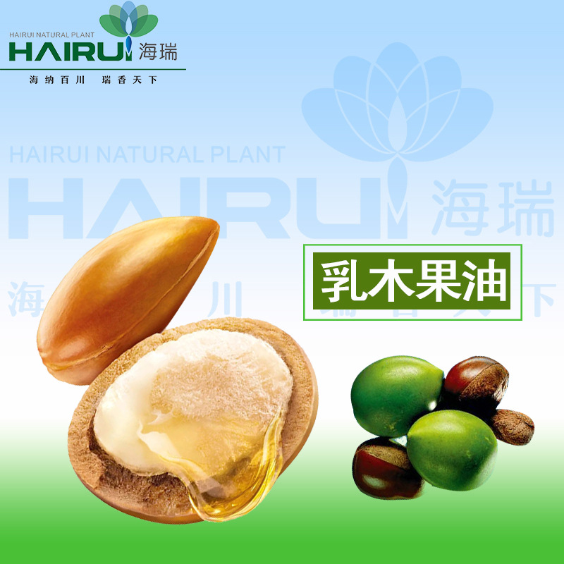 【厂家供应】 乳木果油 植物提取  物美价廉