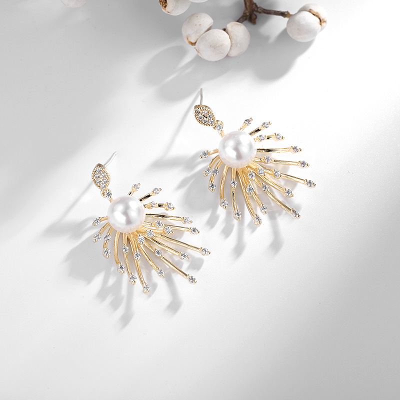 Boucles D&#39;oreilles Boucles D&#39;oreilles Coréennes Premium Sense Feu D&#39;artifice Boucles D&#39;oreilles 925 Aiguille En Argent Sterling Zircon Nouvelle Vague En Gros Nihaojewelry display picture 4