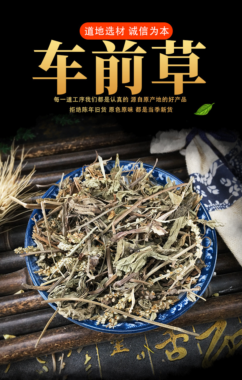 Dried Plantain Herb Che Qian Cao Whole Herb Traditional TCM Herbal Tea and Decoction Ingredient 500g key features