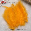 Spot balloon balloon filling Bobo built -in feathers color sharp tail feather turkey hair wholesale