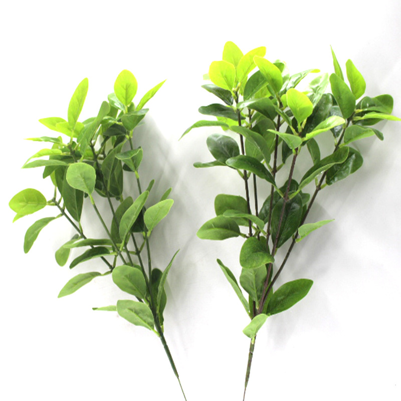 XRB-231 桔子皮小5枝7.jpg