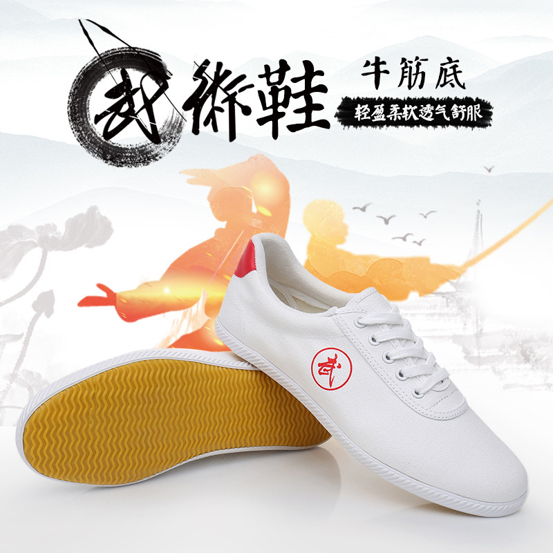 Tai chi shoes kung fu shoes for women and men Martial arts shoes for wushu school