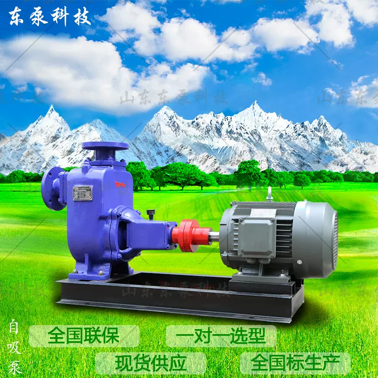 工厂直供大流量自吸排污泵 ZW卧式离心泵 铸铁排污泵山东东泵