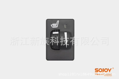 Cross-border car built-in heating: Multi-function pad