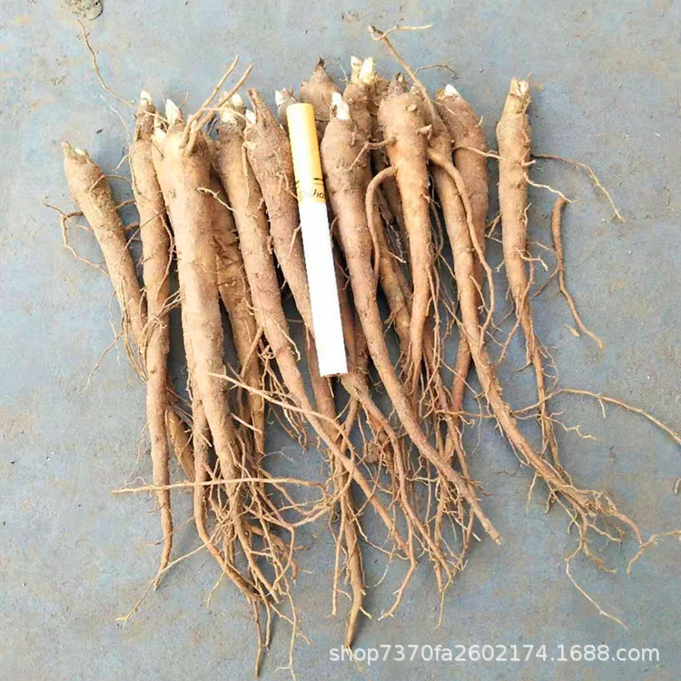 微信图片_20200118190247_副本