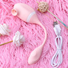 USB charging double head sucking vibrator 10 frequency vibration jumping eggs women's silicone masturbation adult products wholesale