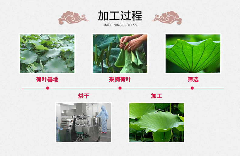 Lotus Leaf Tea He Ye Granules Dried Nelumbo nucifera Leaf Herbal Drink 500g Bulk details