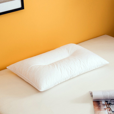 亚马逊coop跨境货源家纺美国站欧洲站尺码枕芯碎乳胶透气包边全棉