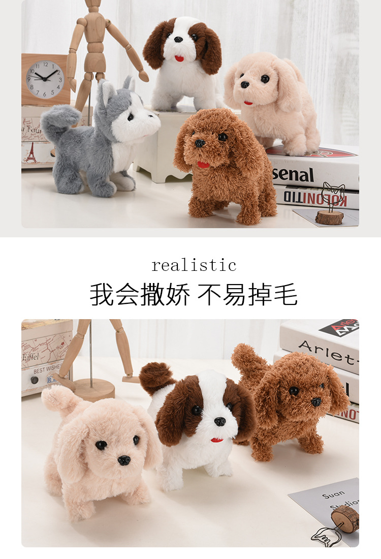 泰迪金毛哈士奇柯基小狗详情页_02