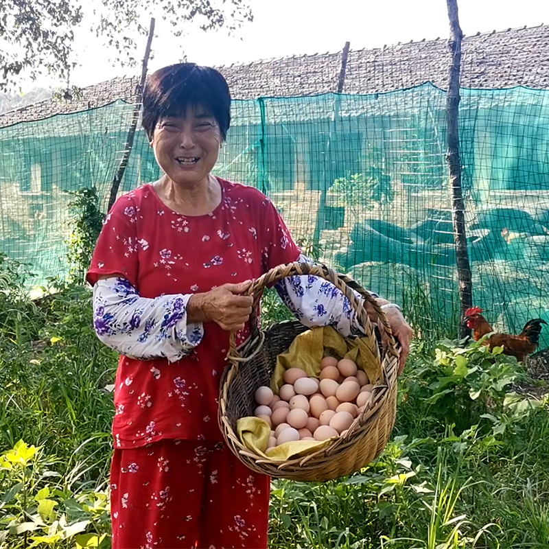 大别山农家散养新鲜40枚土鸡蛋  农场一件代发 柴鸡蛋 笨鸡蛋
