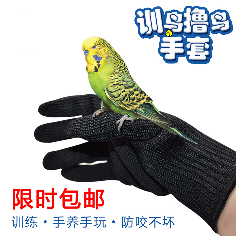 앵무새 물린 장갑 애완 동물 새 잡기 호랑이 피부 작은 태양 비행 앵무새 훈련 강철 와이어 장갑 새 액세서리 용품