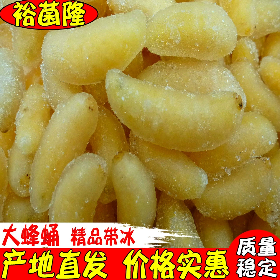 【Южунлон】Крупные личинки пчел с льдом, прямые поставки, оптовая продажа съедобных насекомых, специальные замороженные продукты прямого происхождения.