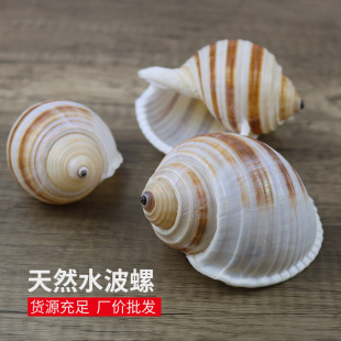 ˮ��������Ȼؐ�������~��ˮ���b�ؐ�~��ֳ�����⻨��[�����l