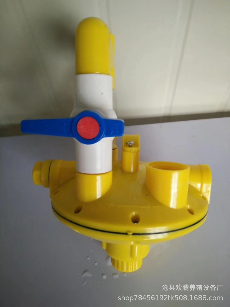 Paloma taza de agua fuente automática bebedero para beber paloma comedero huevo nido arena taza paloma suministros utensilios