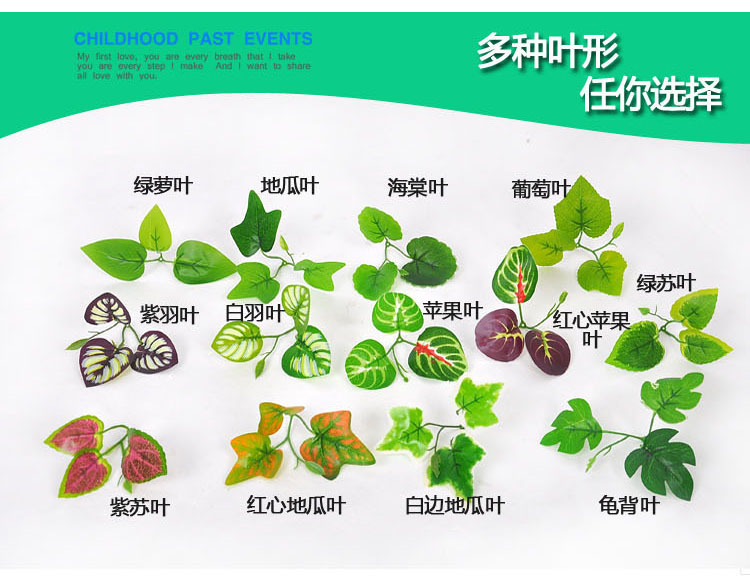 10828288784_580073846