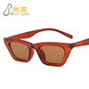 Fashionable brand retro trend glasses, sunglasses, city style, Korean style, cat's eye