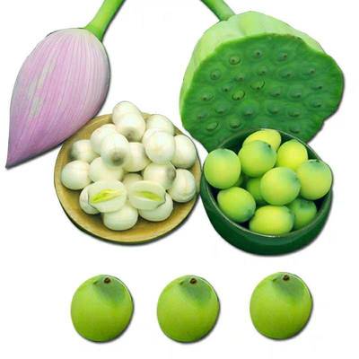 Guangchang Lotus fresh Lotus Lotus seed rice 3 a shower nozzle Season fruit