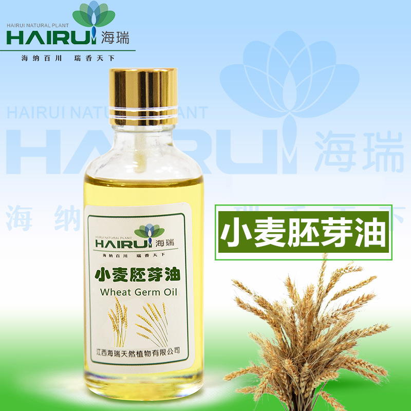 厂家供应 小麦胚芽油Wheat germ oil植物提取 物美价廉