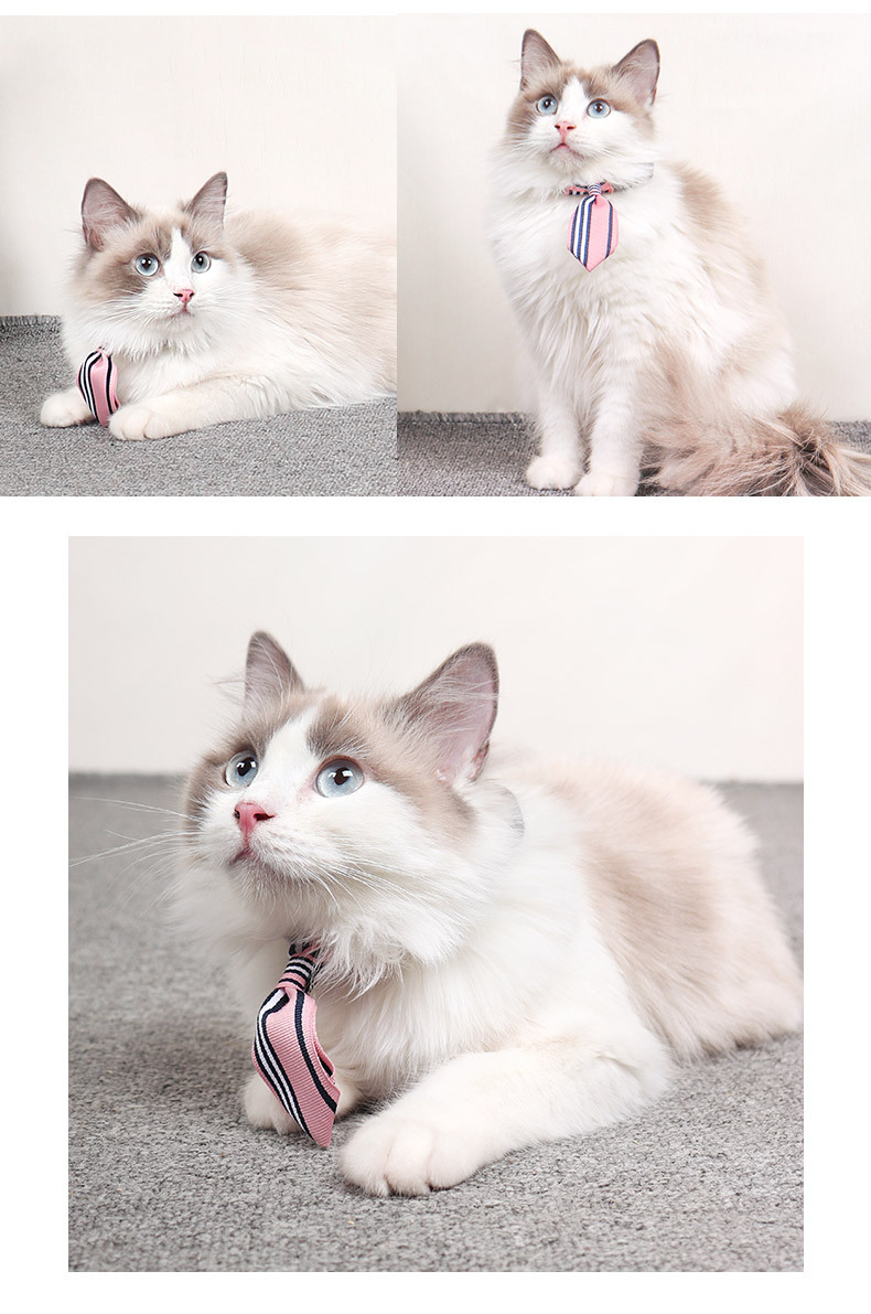 new pet collar bow tie cats and dogs universal fashion accessories small accessories adjustable cute pet tiepicture7