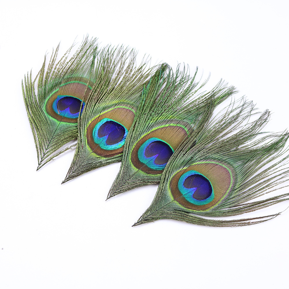 1000 1000翎眼孔雀毛.jpg