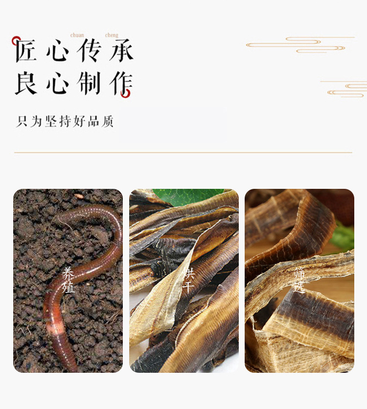 Di Long (Pheretima) Dried Earthworm Herb — Split & Washed 250g quality and texture