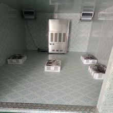 热泵鸡鸭肉类烘干机 福建黄花鱼冷风干燥机 鲅鱼低温烘干机！