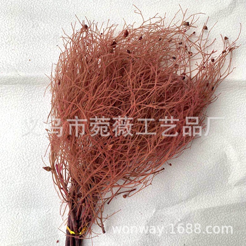 微信图片_20200527195316