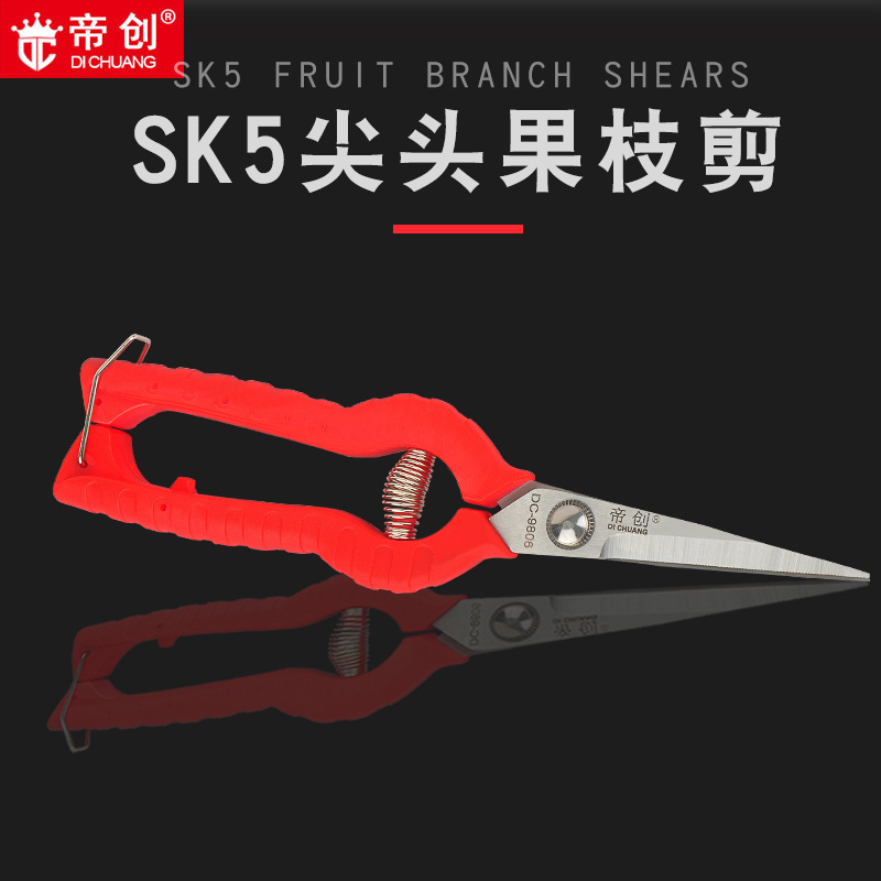 帝创果枝剪葡萄剪 园艺园林工具 采摘果剪刀稀果修枝剪花艺花园剪