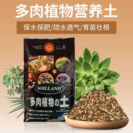 肉肉花土价格 最新肉肉花土价格 批发报价 价格大全 阿里巴巴