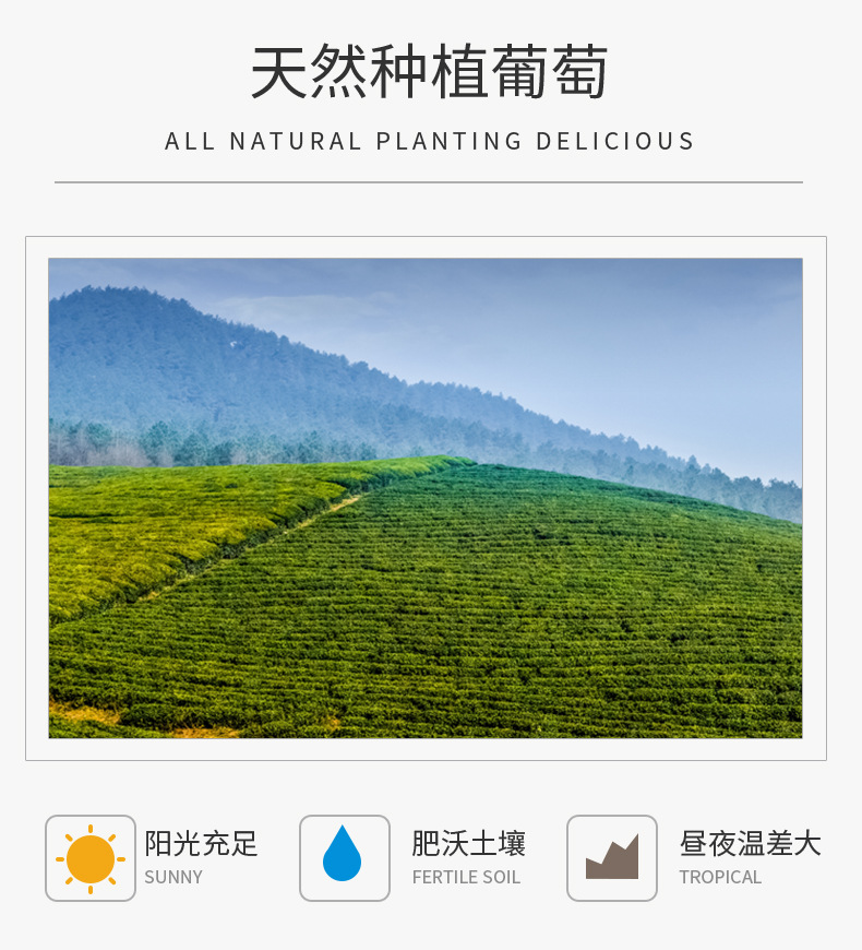 葡萄美酒典范详情页_03